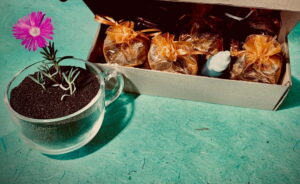 DIY-Worm-Tea-Kit2.jpg DIY Worm Tea Kit