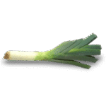 Leeks Porbella 200 Plug Tray