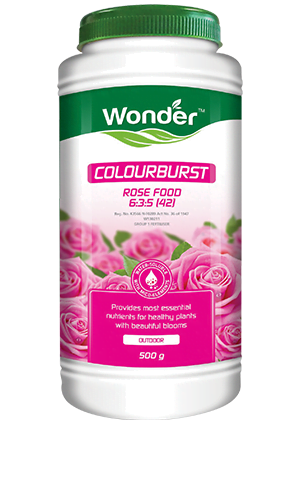 Wonder Colourburst Rose 500g Wonder Colourburst Rose 500g