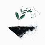 Eco Pellets Organic Fertiliser 10kg Eco Pellets Organic Fertiliser 10kg
