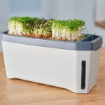 Harry Herbs Planter