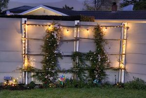 20230919_190159-scaled-1.jpg Solar Fairy String Lights