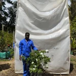 Azalea White 70lt