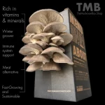 Black Pearl Oyster Mushroom Box