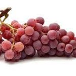 Red-Globe.jpg Red Globe Grape Vine 10lt