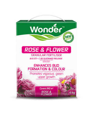 WONDER-ROSE-FLOWER.png Wonder Rose & Flower